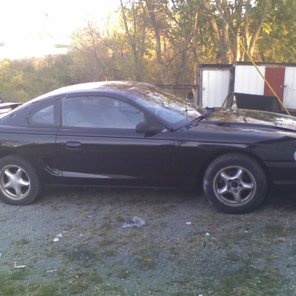 Meet your Posher, Thomas